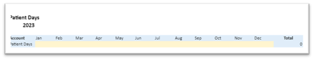 An input sheet one would enter monthly patient days into