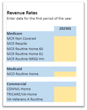 A table where one would enter revenue data for the first period of the year