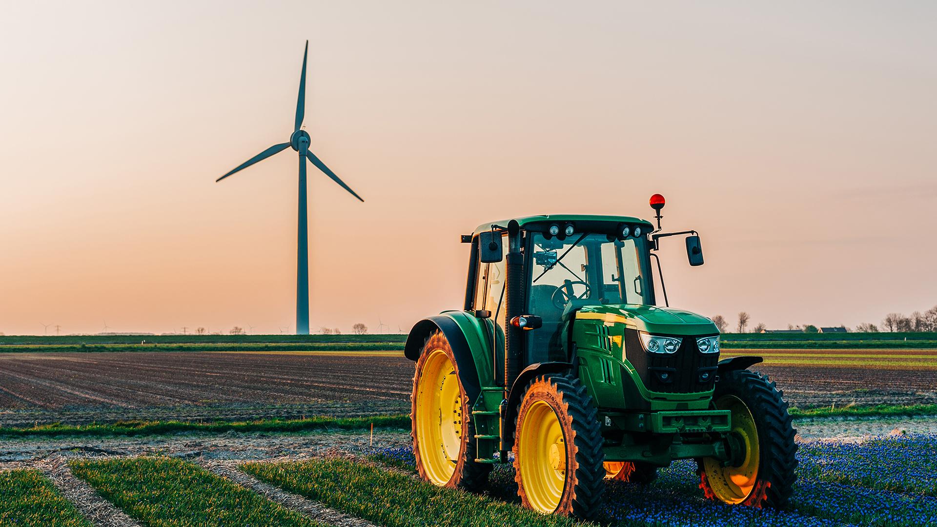 A tractor in a Tulip field at sunrise