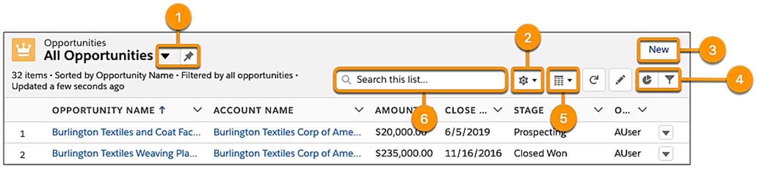 CRM List Views